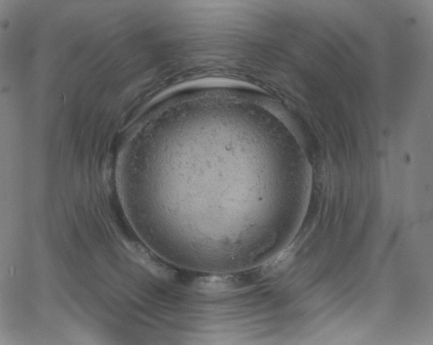 X0000063460082200601201256