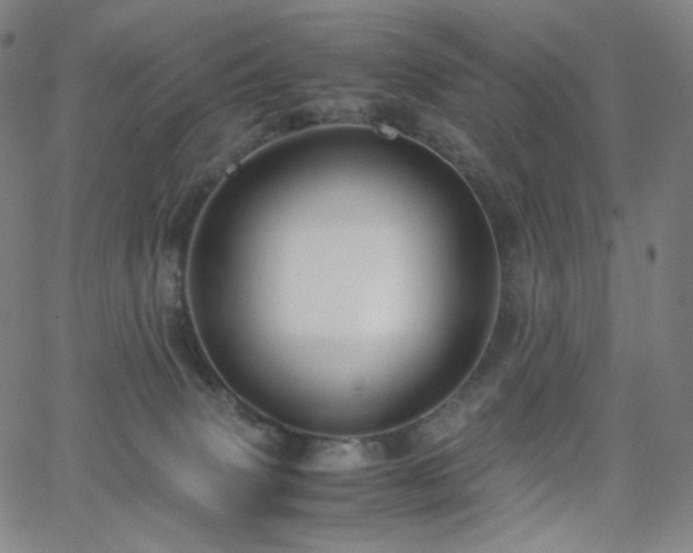 X0000063460083200601201256