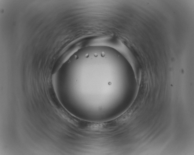 X0000063460084200601201256