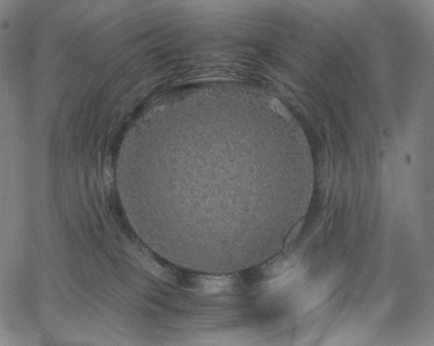 X0000063460085200601201257