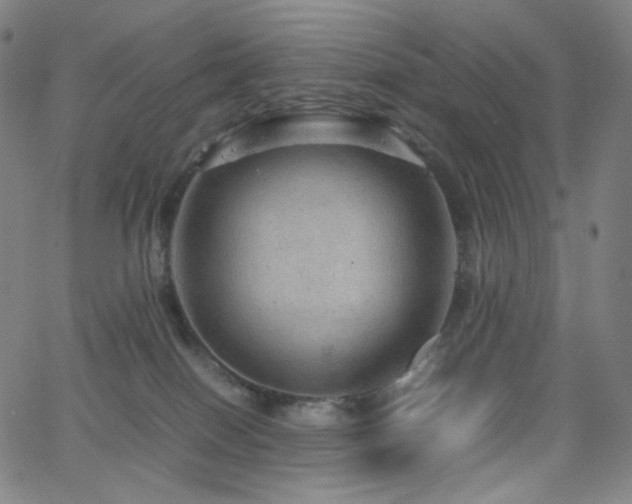 X0000063460086200601201257