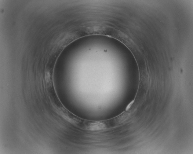 X0000063460087200601201257