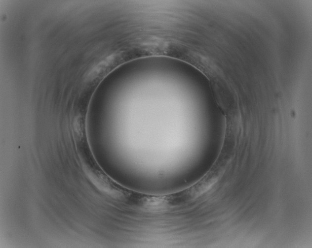 X0000063460088200601201257