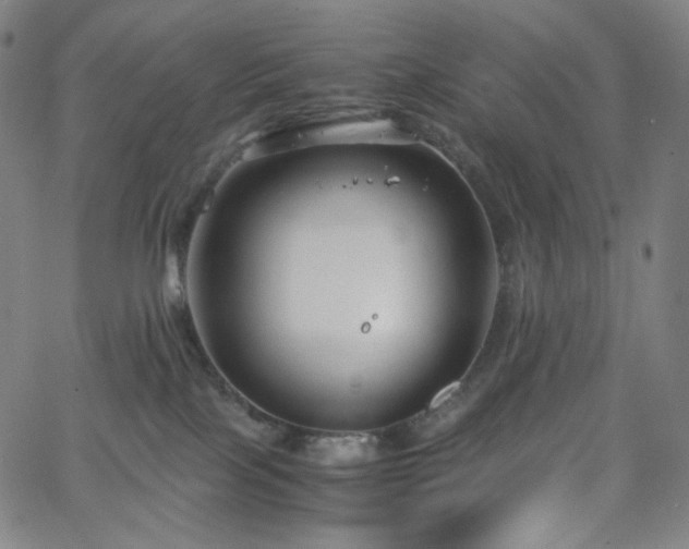 X0000063460089200601201257