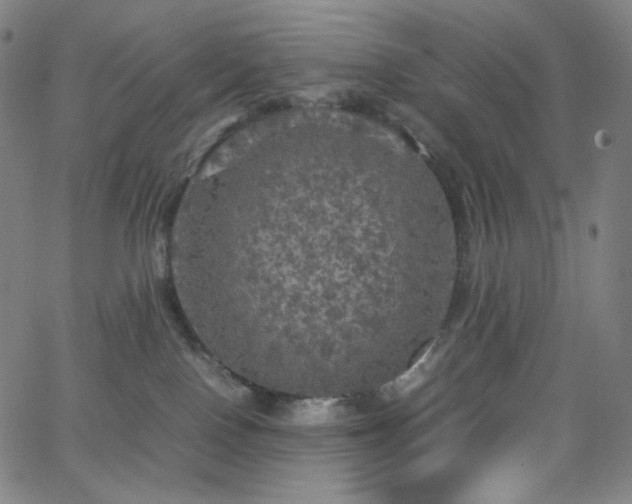 X0000063460090200601201257