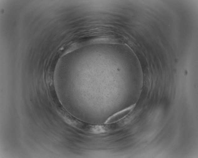 X0000063460091200601201257