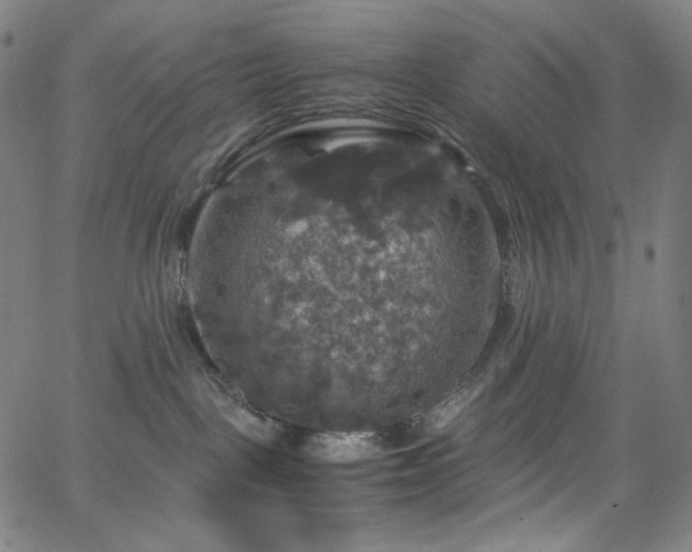 X0000063460093200601201257