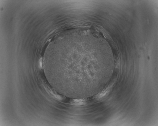 X0000063460095200601201257