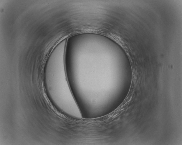 X0000063460097200601201256