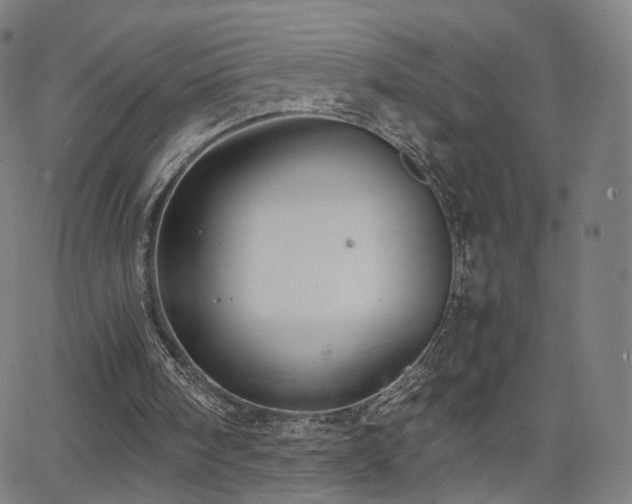 X0000063460098200601201256