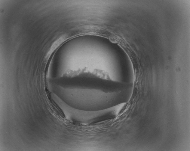 X0000063460099200601201256