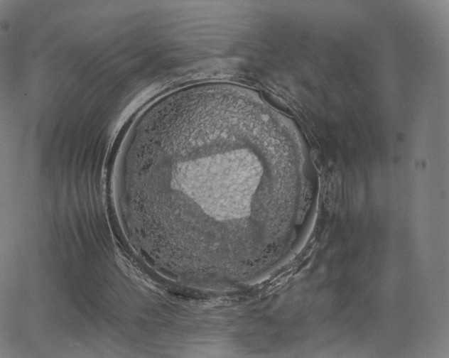 X0000063460100200601201256