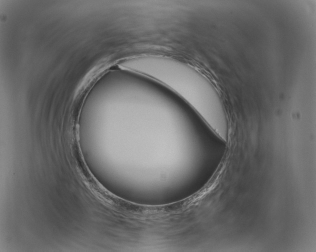 X0000063460101200601201256