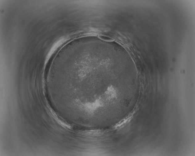 X0000063460102200601201256