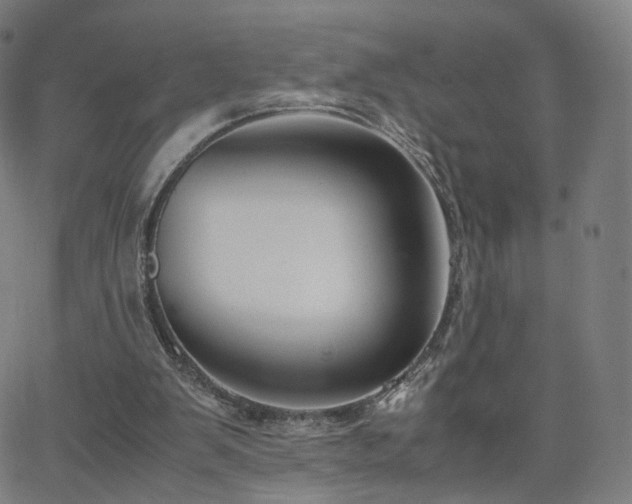 X0000063460103200601201256