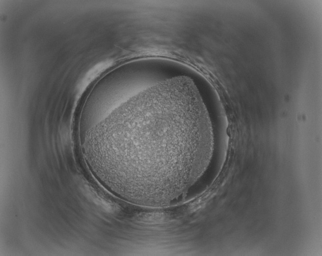 X0000063460104200601201256