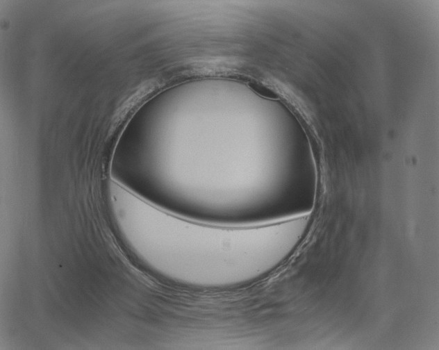 X0000063460105200601201256