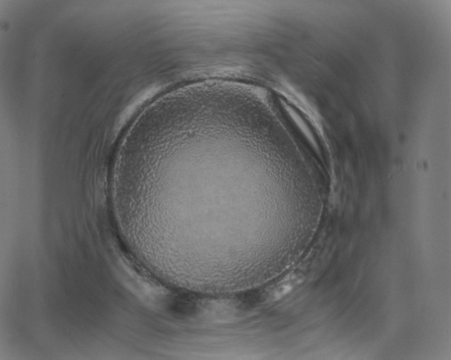 X0000063460107200601201256