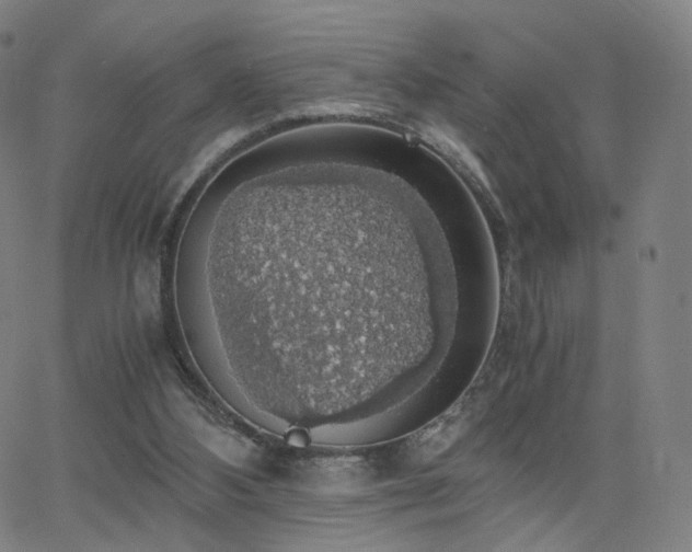 X0000063460108200601201256