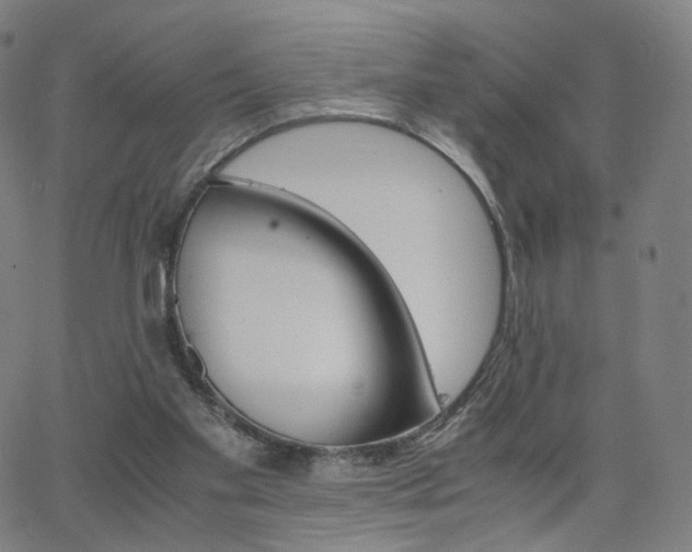 X0000063460109200601201256