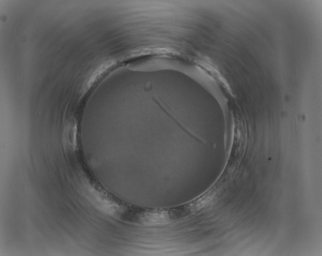 X0000063460110200601201256