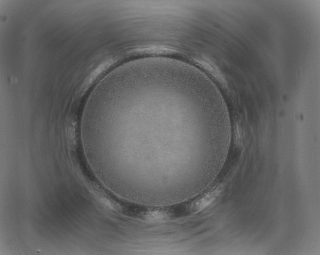 X0000063460111200601201256