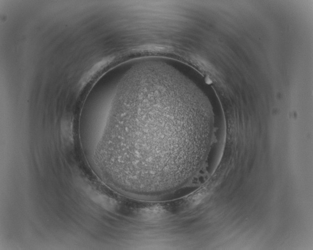 X0000063460112200601201256