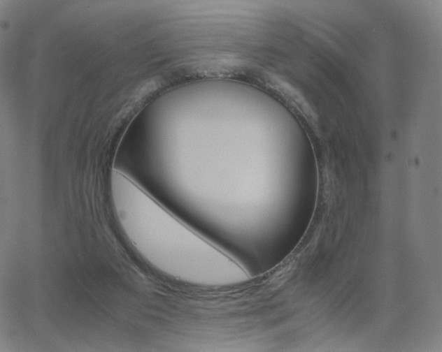 X0000063460113200601201256