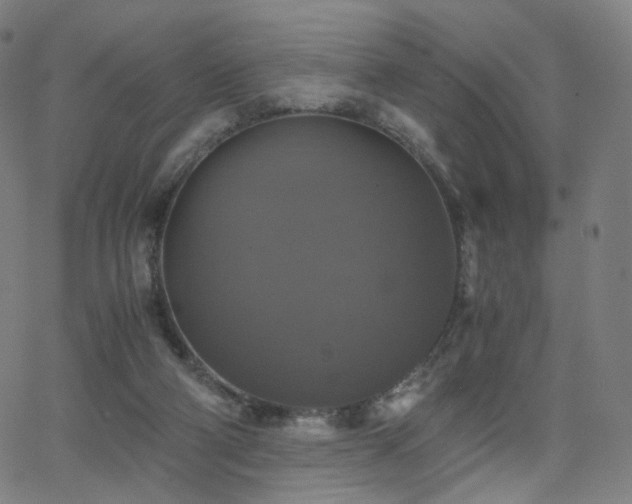 X0000063460114200601201256