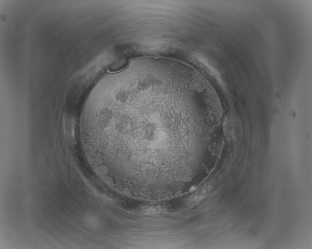 X0000063460115200601201256