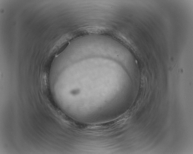 X0000063460117200601201256