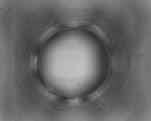 X0000063460118200601201256