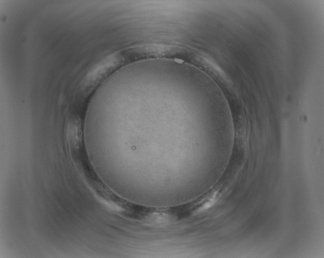 X0000063460119200601201256