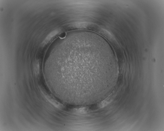 X0000063460120200601201256