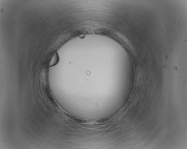 X0000063460121200601201255