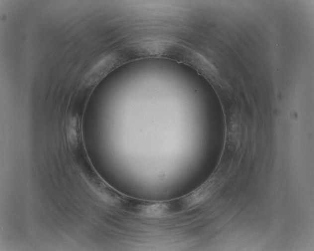 X0000063460122200601201255