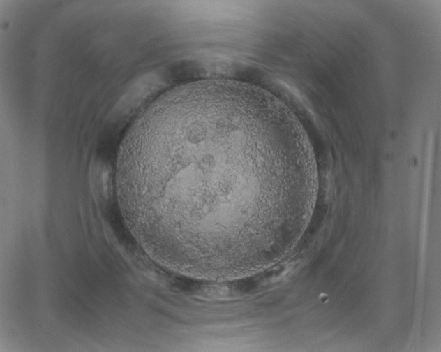 X0000063460123200601201255