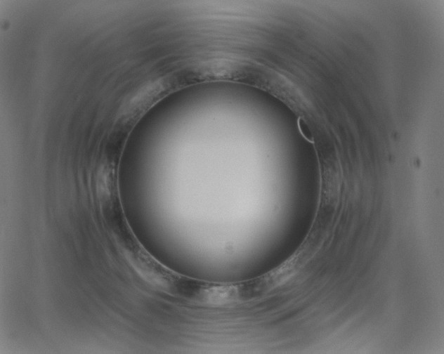 X0000063460126200601201255