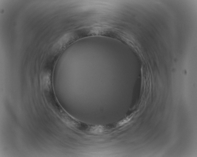 X0000063460127200601201255