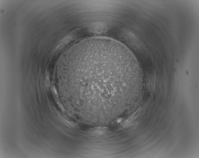 X0000063460128200601201255