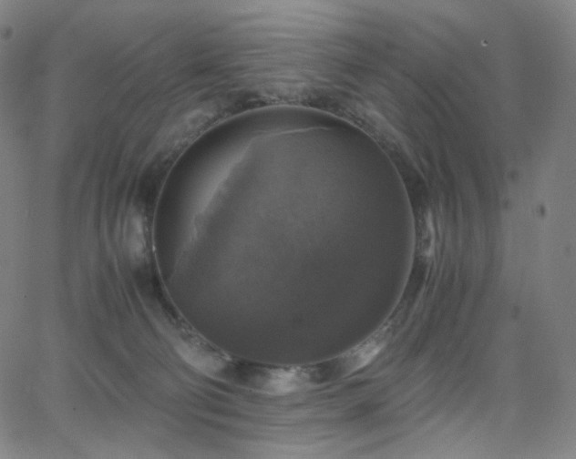 X0000063460130200601201255