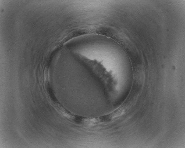 X0000063460131200601201255