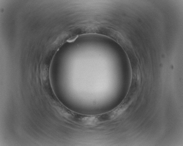 X0000063460133200601201255