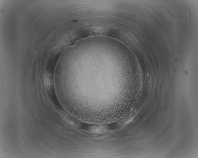 X0000063460135200601201255