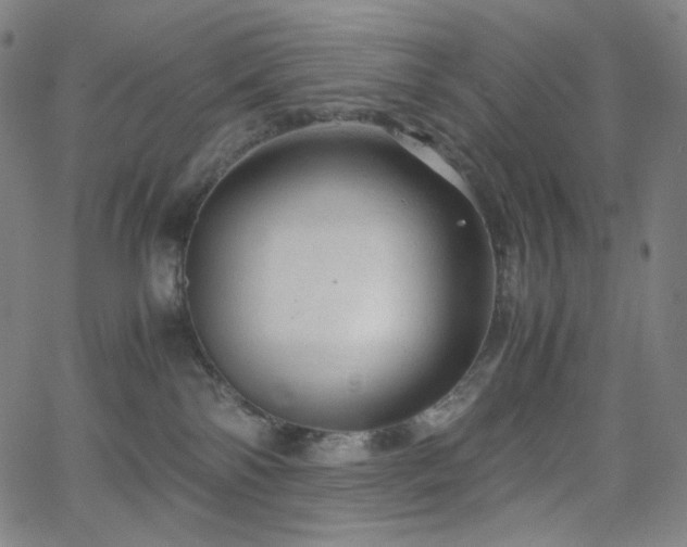 X0000063460138200601201255