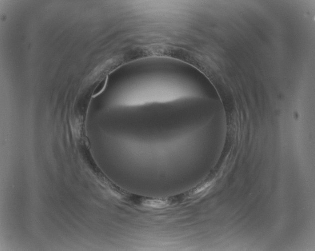 X0000063460139200601201255