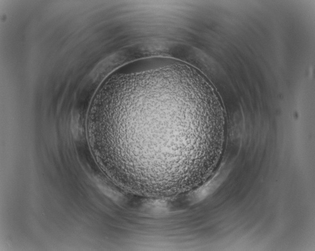 X0000063460140200601201255