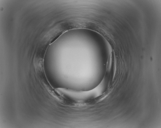 X0000063460141200601201255