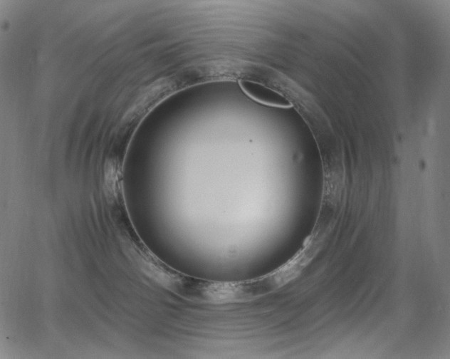 X0000063460142200601201255