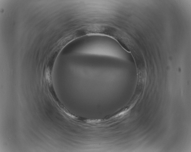 X0000063460143200601201255